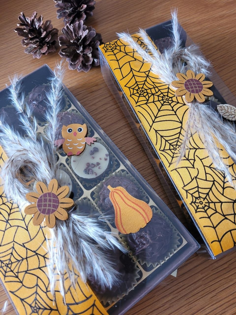 Deux boîtes de pralinés avec ruban jaune à toiles d'araignée, décorées d'herbes séchées, d'un hibou, d'un tournesol et d'une courge en bois, près de pommes de pin